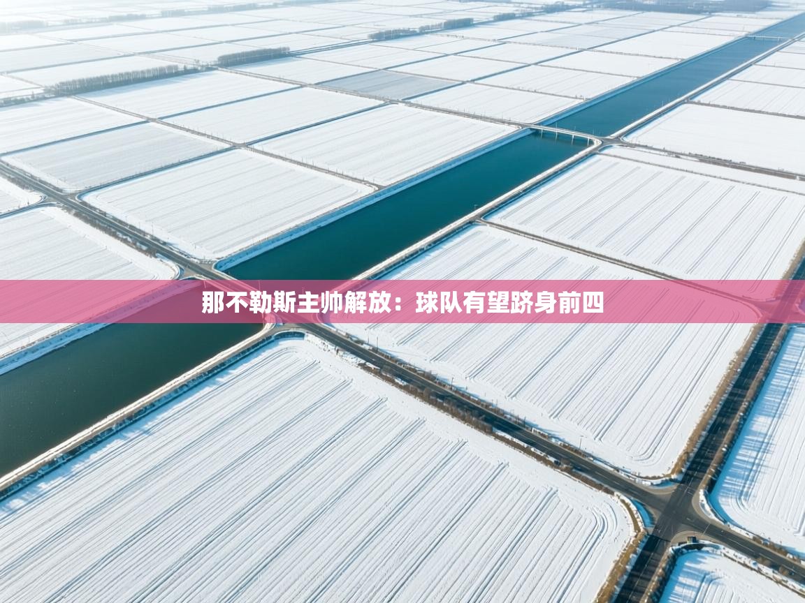 开云体育app下载链接-那不勒斯主帅解放：球队有望跻身前四  第3张