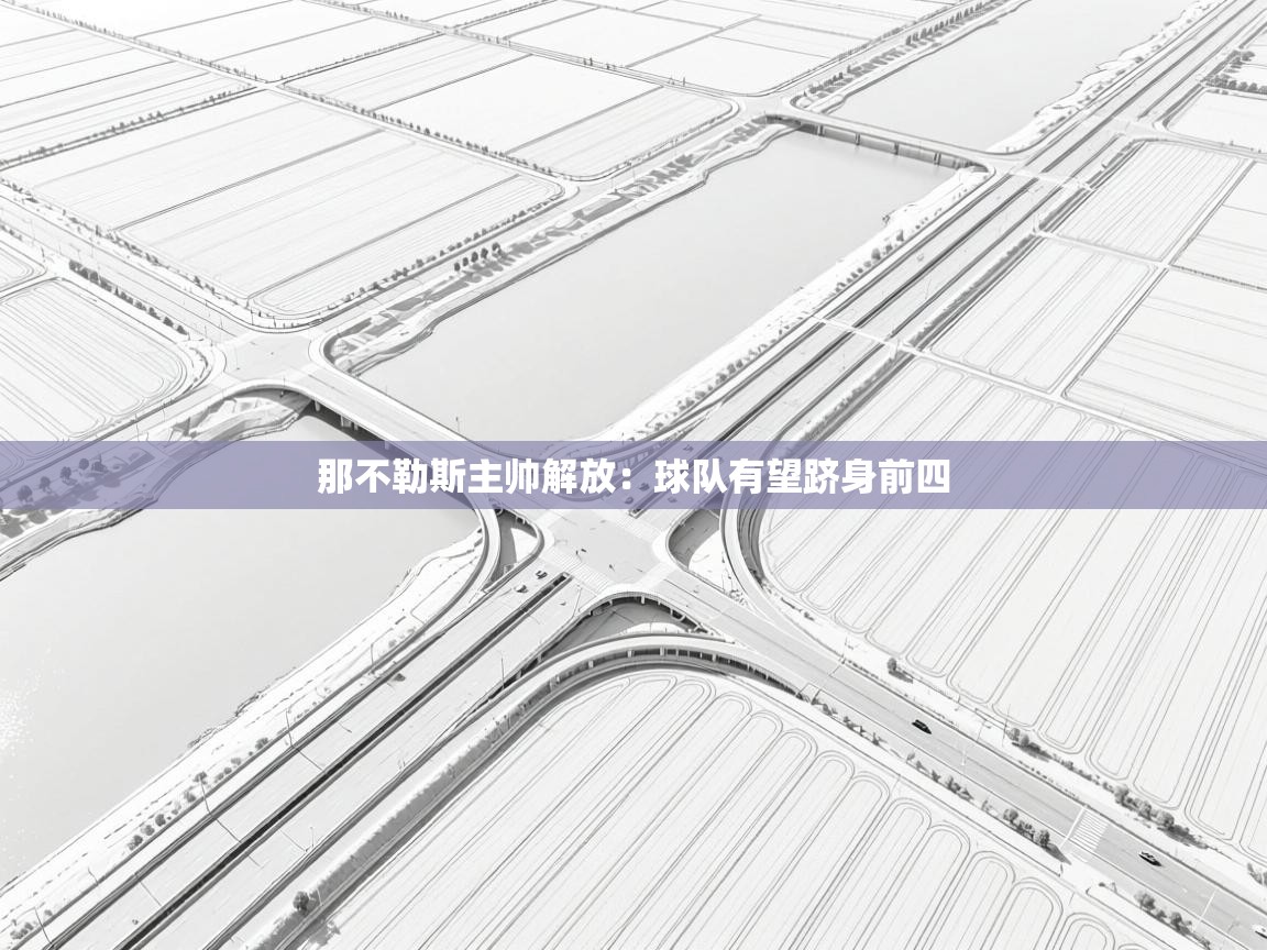 开云体育app下载链接-那不勒斯主帅解放：球队有望跻身前四  第4张