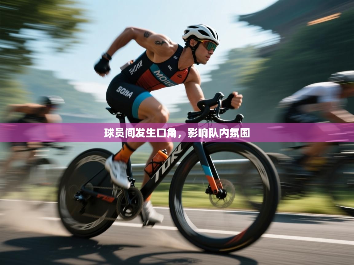 开云体育app官网入口-球员间发生口角，影响队内氛围  第2张