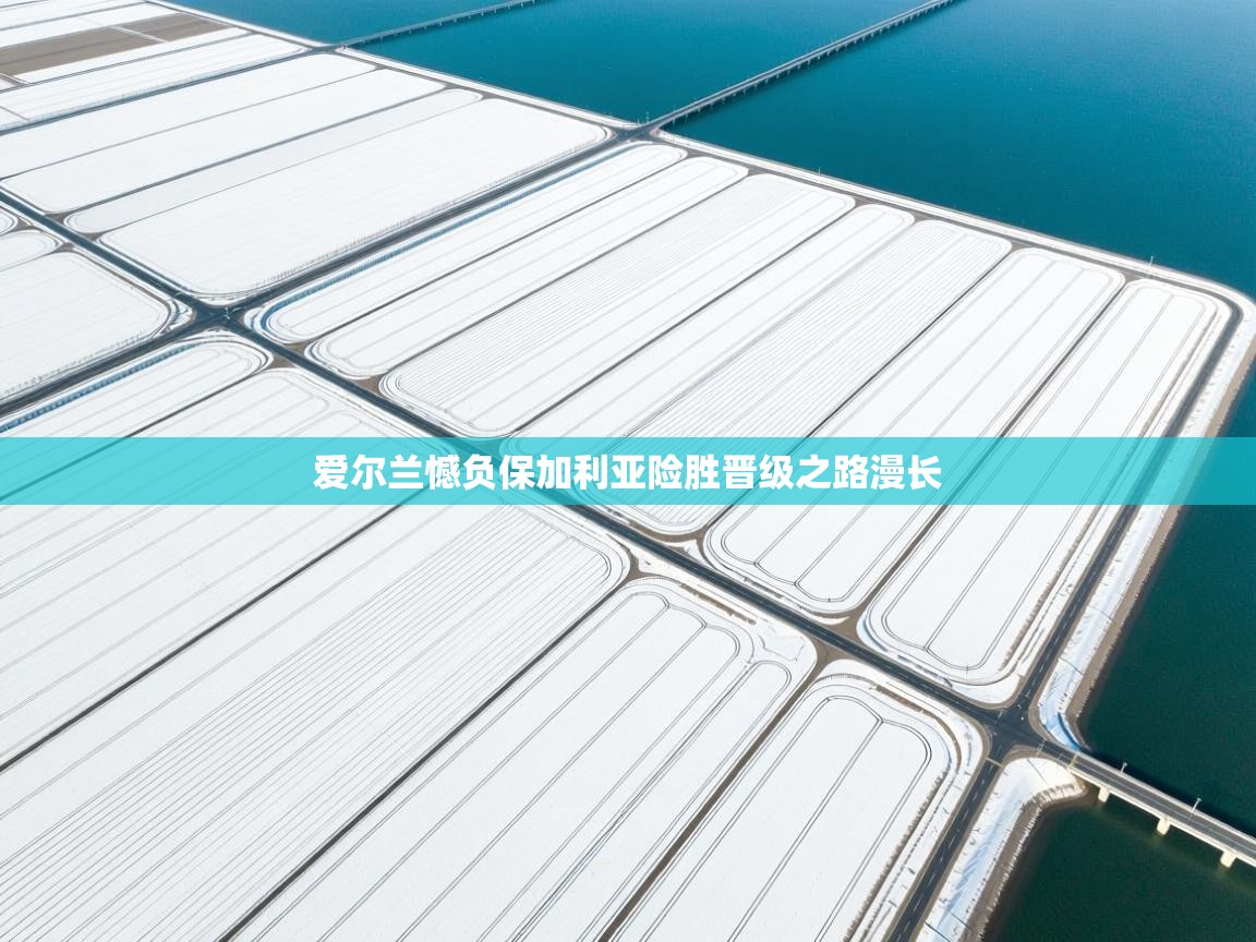 开云体育登录入口-爱尔兰憾负保加利亚险胜晋级之路漫长  第1张