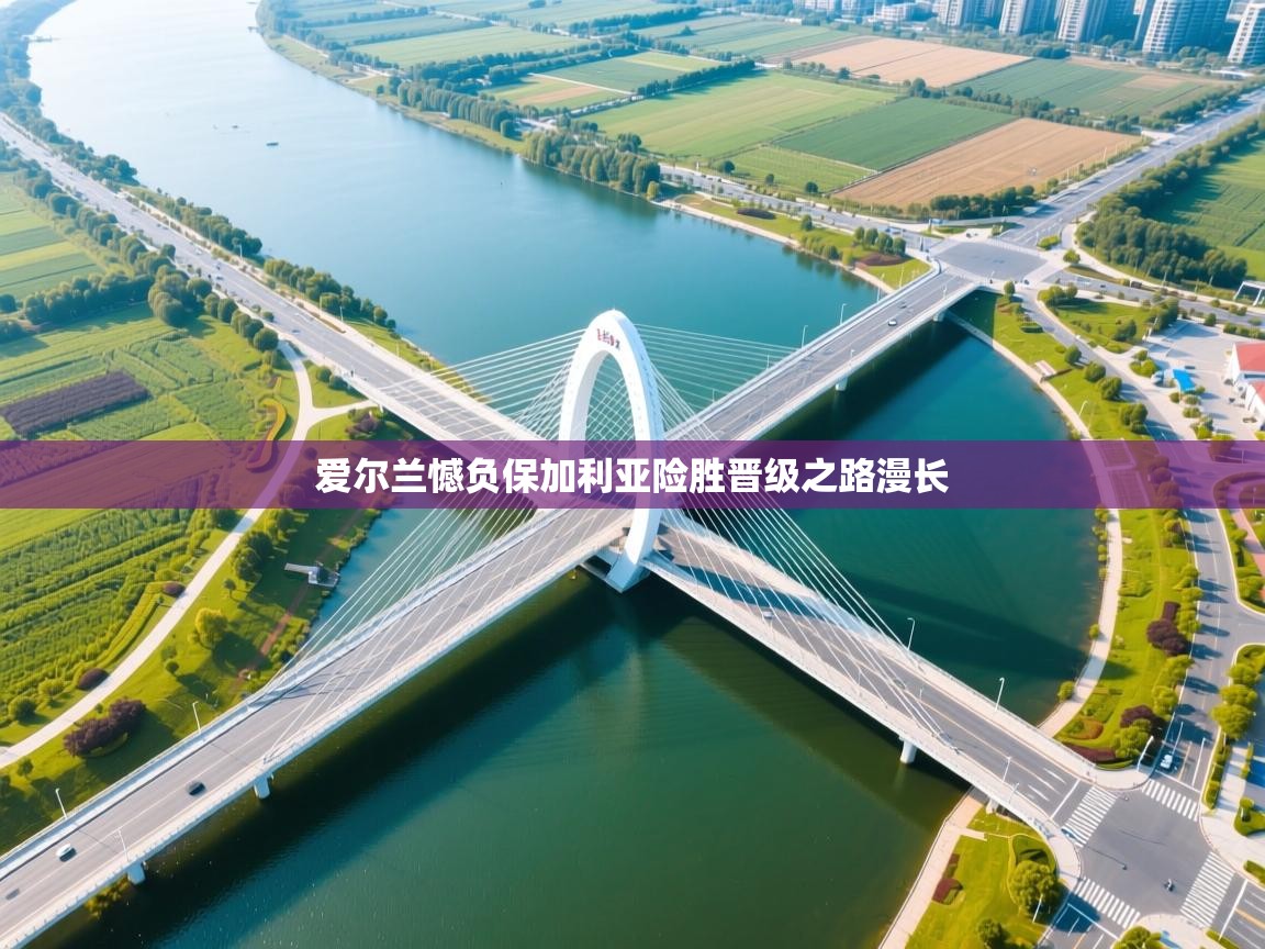 开云体育登录入口-爱尔兰憾负保加利亚险胜晋级之路漫长  第3张