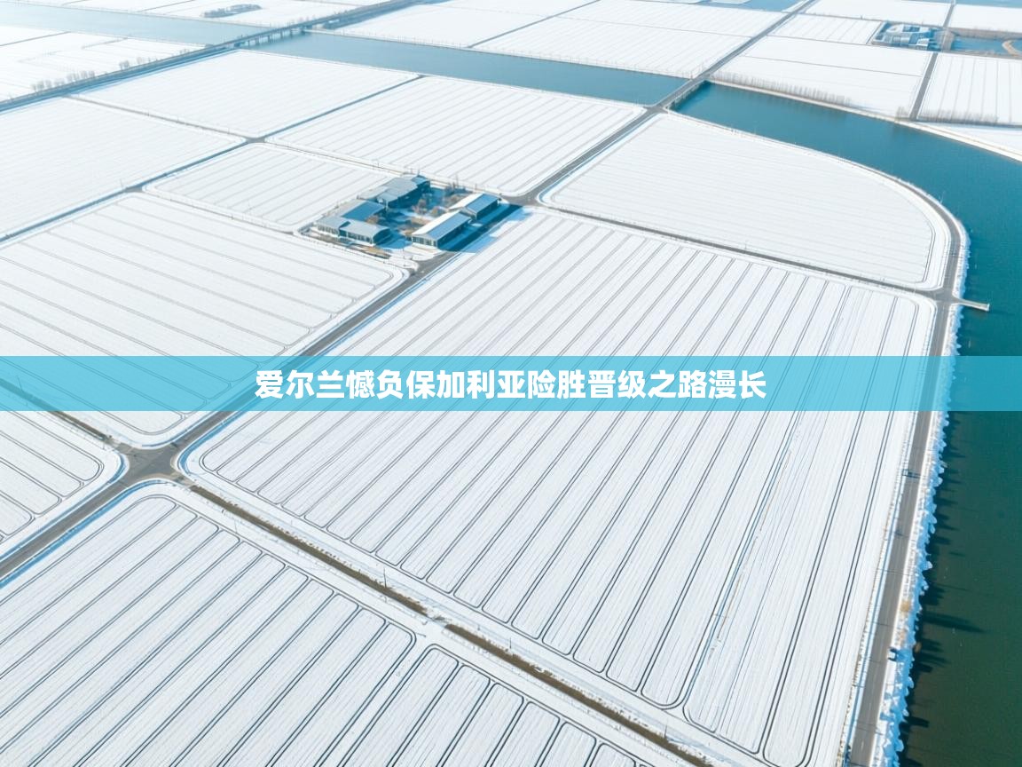 开云体育登录入口-爱尔兰憾负保加利亚险胜晋级之路漫长  第4张